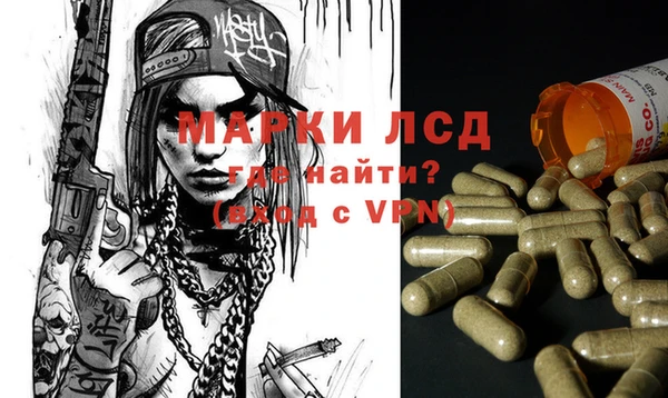 шишки Богородицк