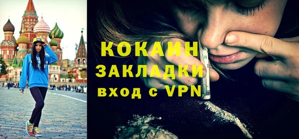 шишки Богородицк