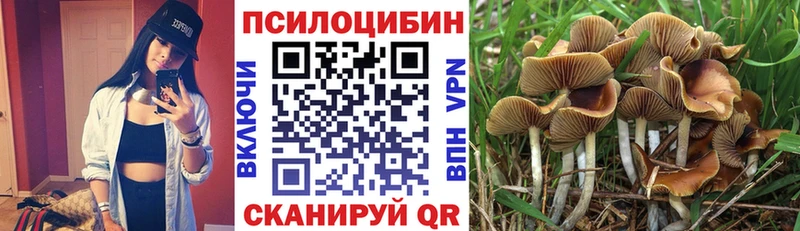 Галлюциногенные грибы Psilocybine cubensis  Бокситогорск 